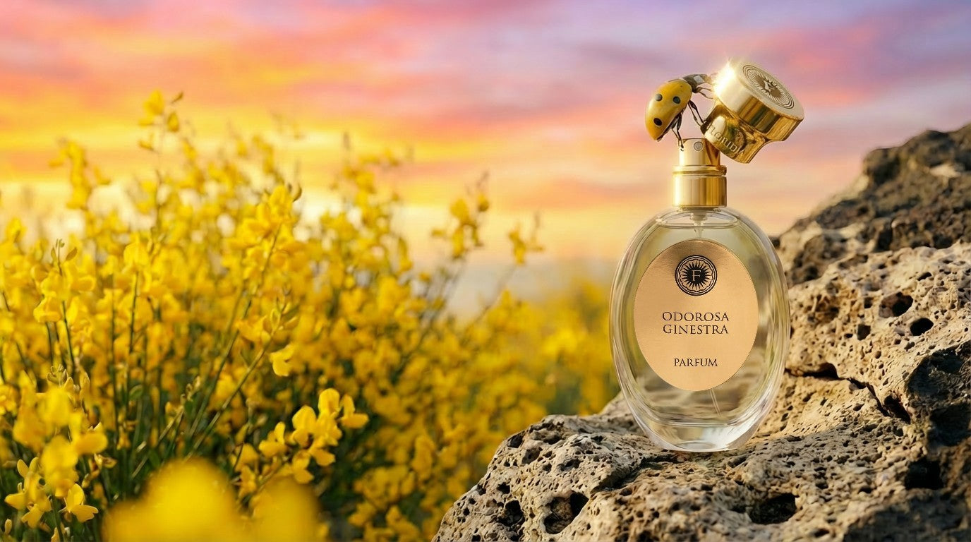 Odorosa Ginestra