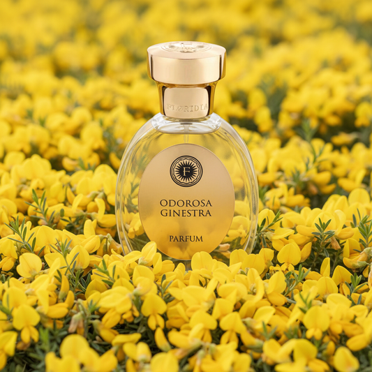 Profumo di Ginestra: L’Essenza Mediterranea tra Profumi Floreali