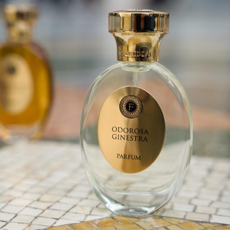 Odorosa Ginestra Art